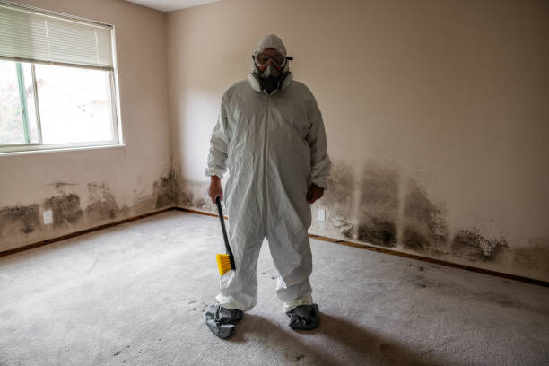 Mold Documentation for Insurance Claims in Cleburne, TX